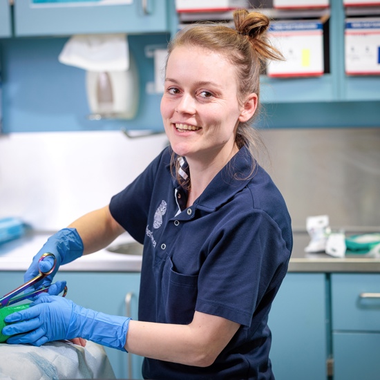 Mres Brnh Verhalen 10Mrt2025 3067